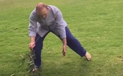 Crouching Lifting Sweeping