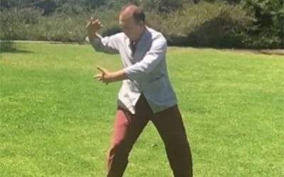 Wave Hands Like Clouds